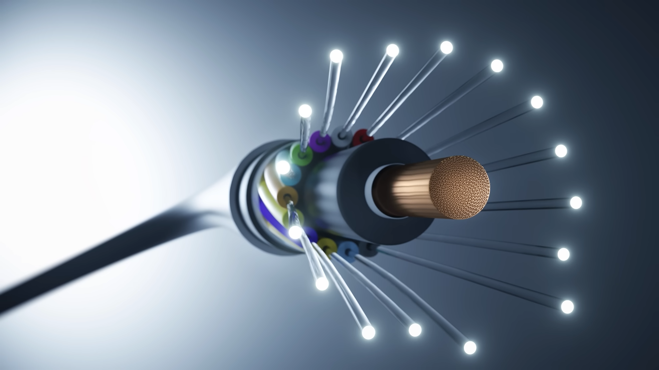 Fiber optic network